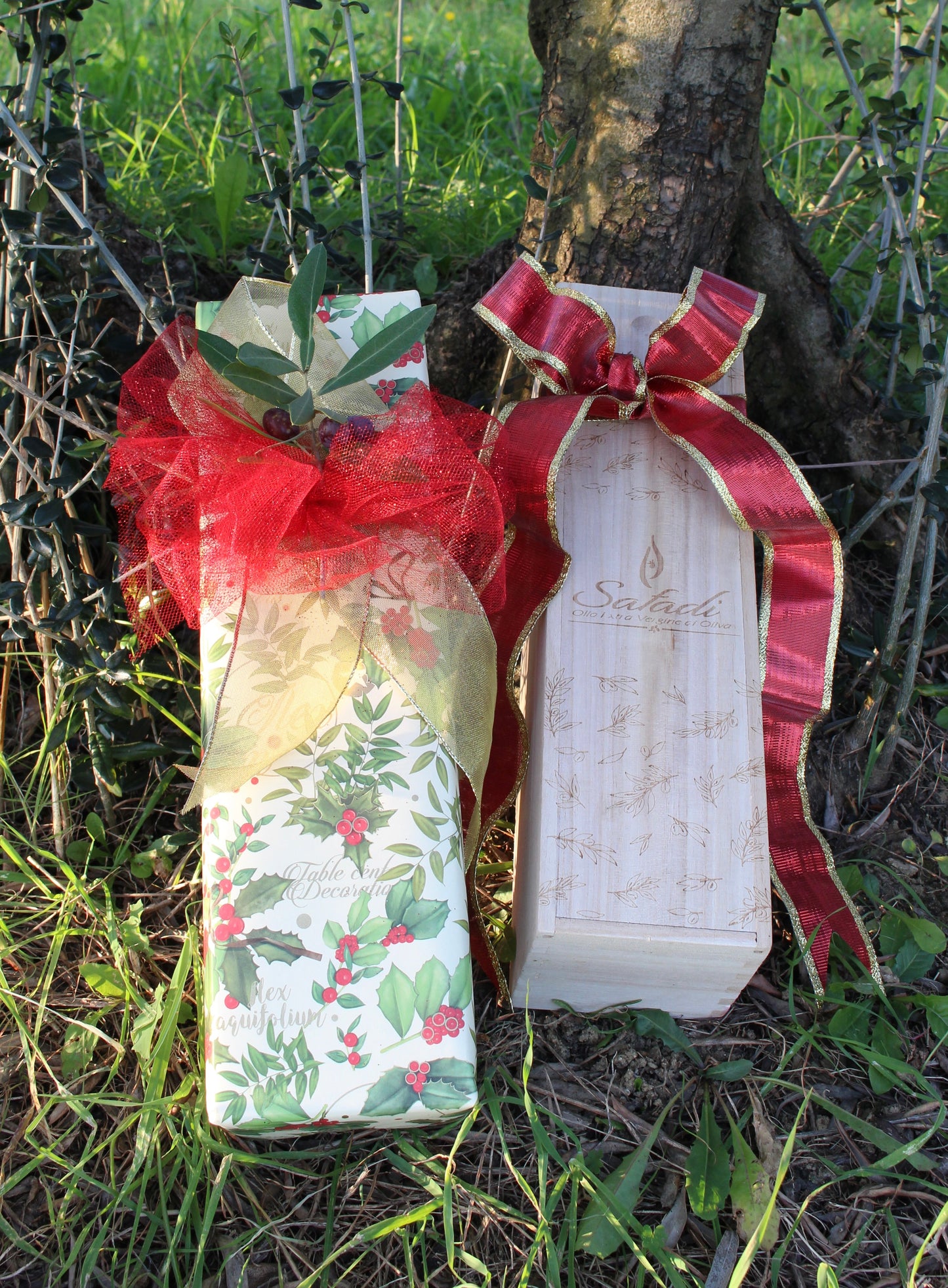 2024 Harvest Safadi Extra Virgin Olive Oil