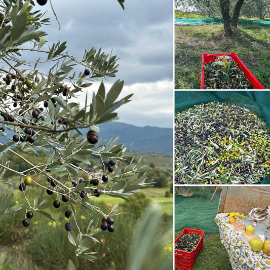 From the Farm