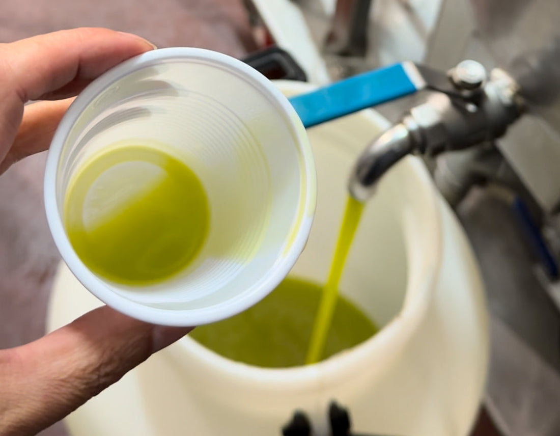 The Healthiest Cough You Will Experience