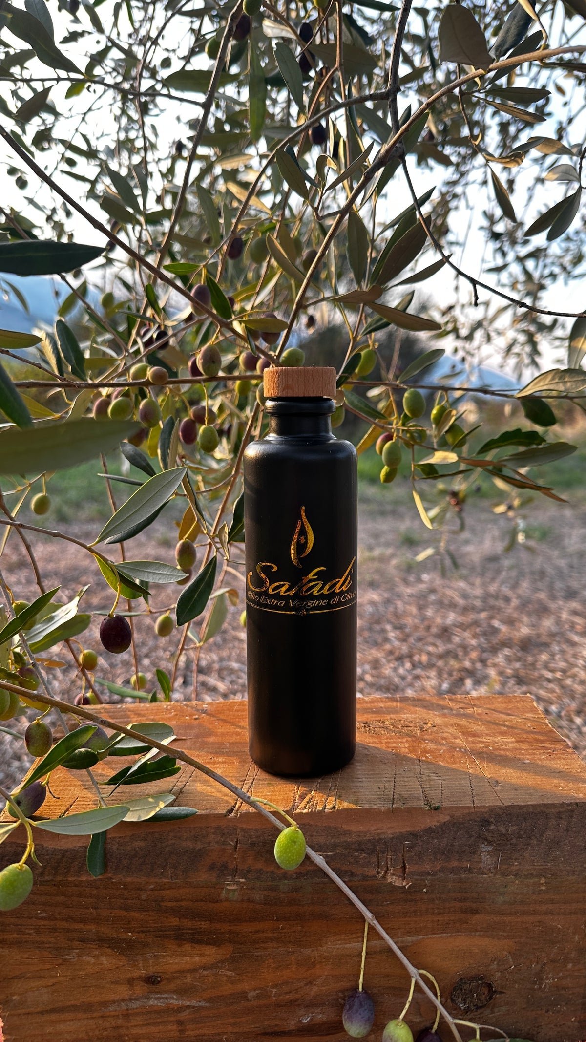 2026 Harvest Safadi Extra Virgin Olive Oil Pre Order