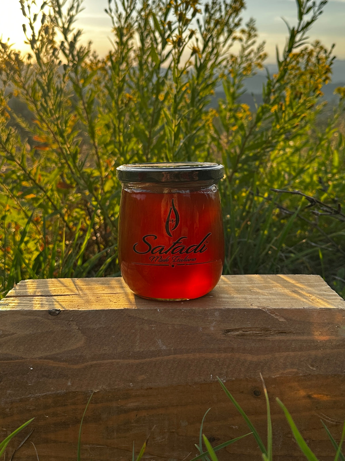 Safadi Silver Fir Honey - Miele di Abete