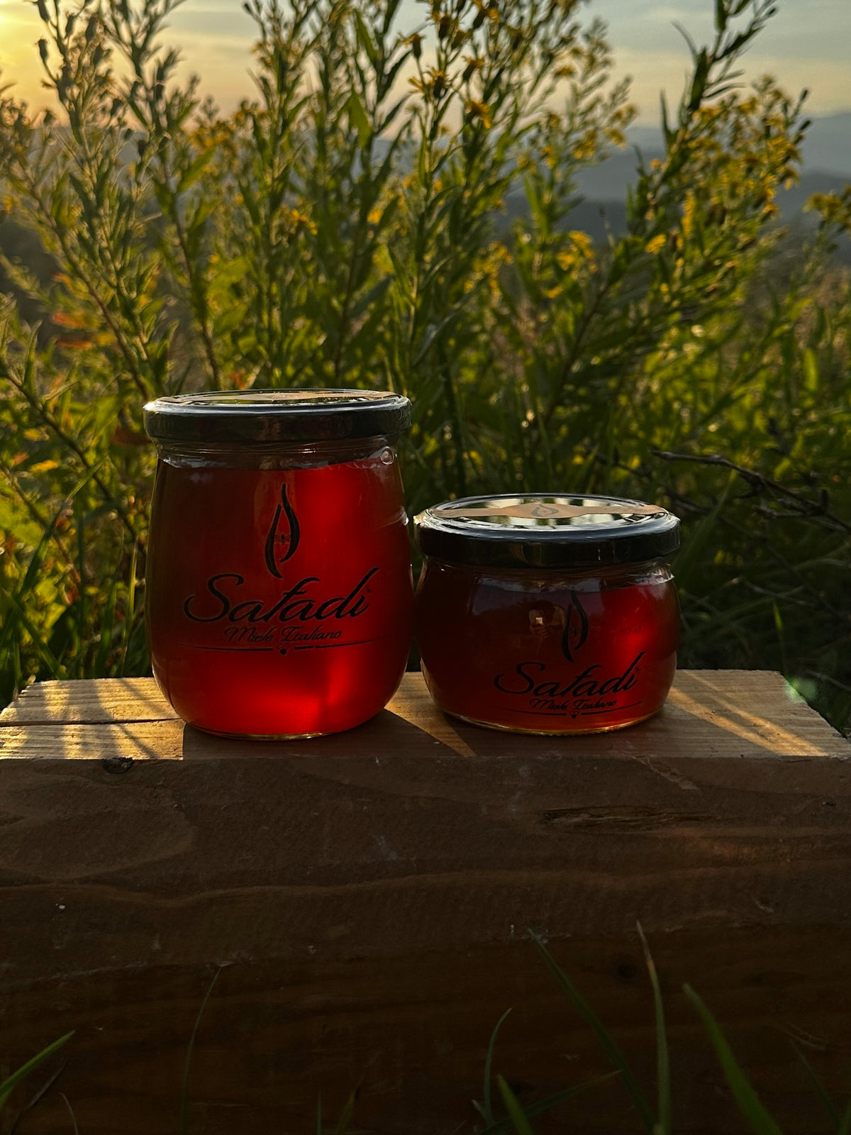 Safadi Silver Fir Honey - Miele di Abete