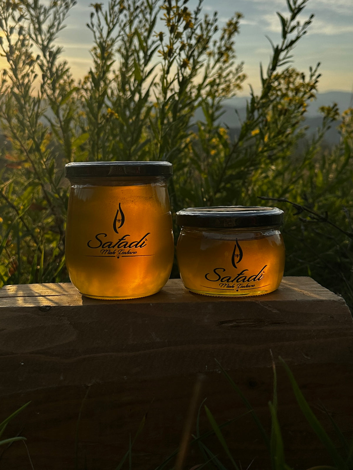 Safadi Acacia Honey - Miele di Acacia