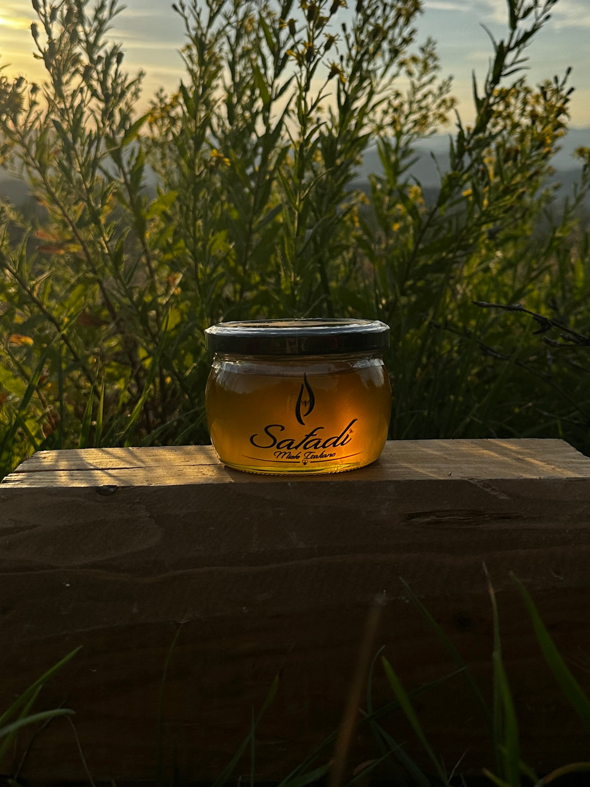 Safadi Acacia Honey - Miele di Acacia
