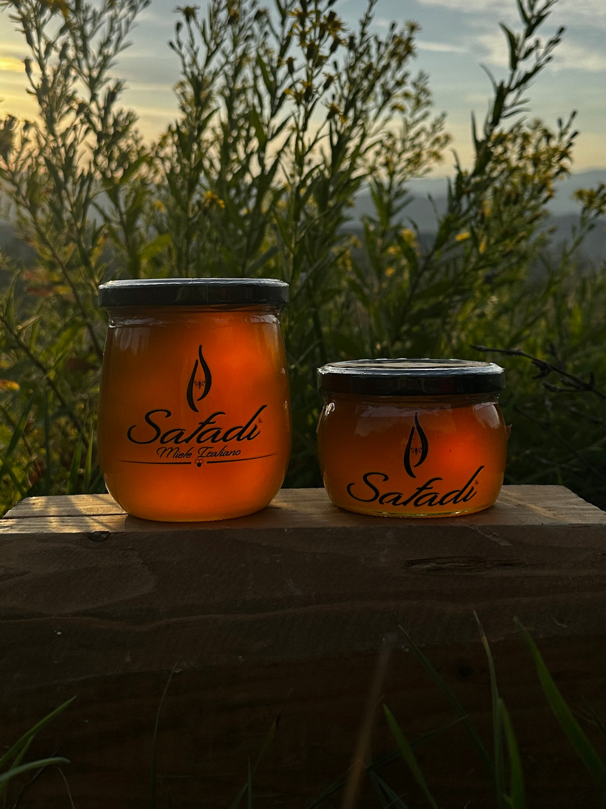 Safadi Wildflower Honey - Miele di Millefiori